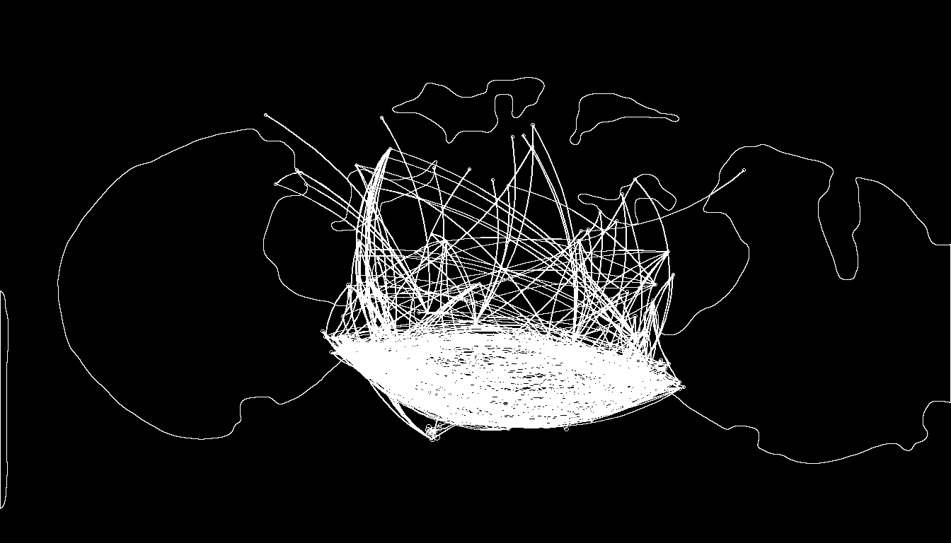 The line map: the brain outline and connections as bare white lines on black.